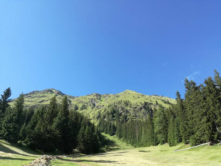 foto21