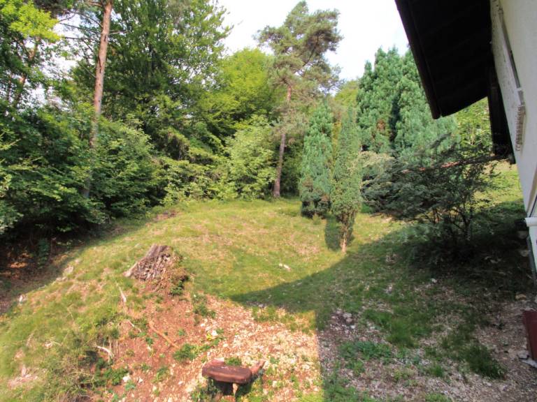 foto23