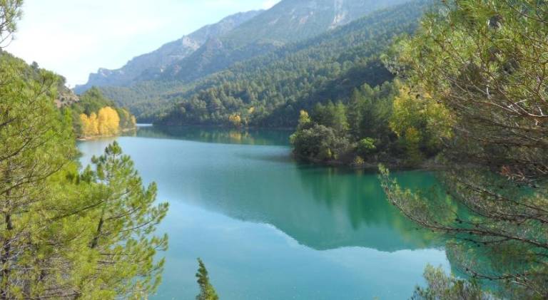 foto4