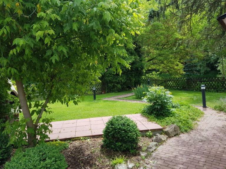 foto19