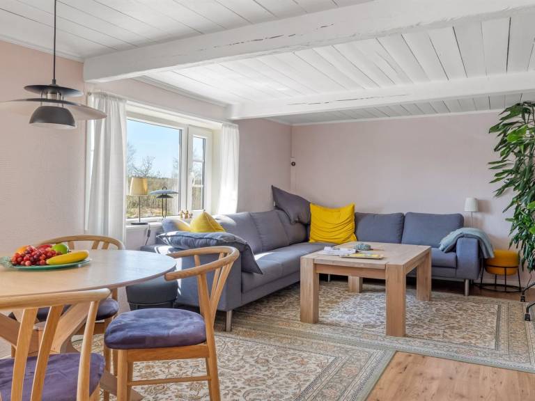 Ferienhaus mit Hund inLæsø, Vesterø Havn Ostseeküste Dänemark f&uuml;r max. 4 Personen