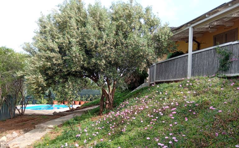 Casa Sant'Anna Arresi