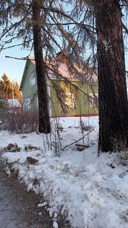 Anteron tupa — photo 4