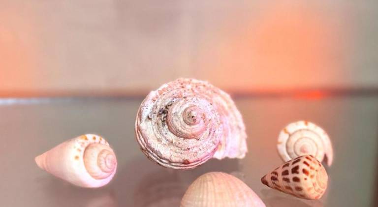foto45
