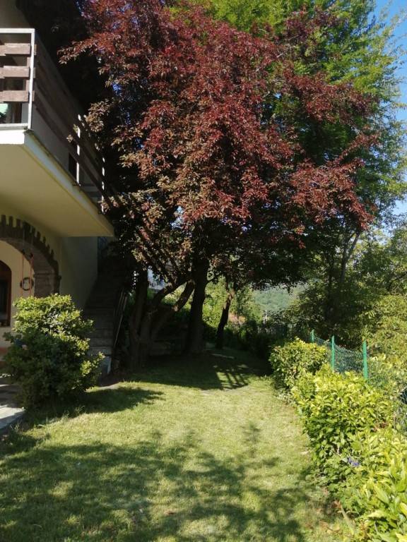 foto11