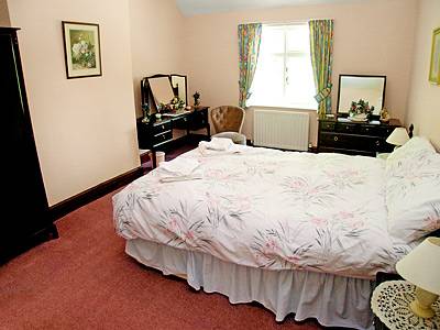 Family-oriented charming cottage with garden | River view | Pet-friendly — photo 5