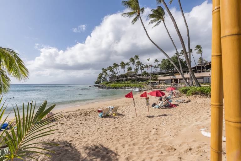 Condo  Kapalua