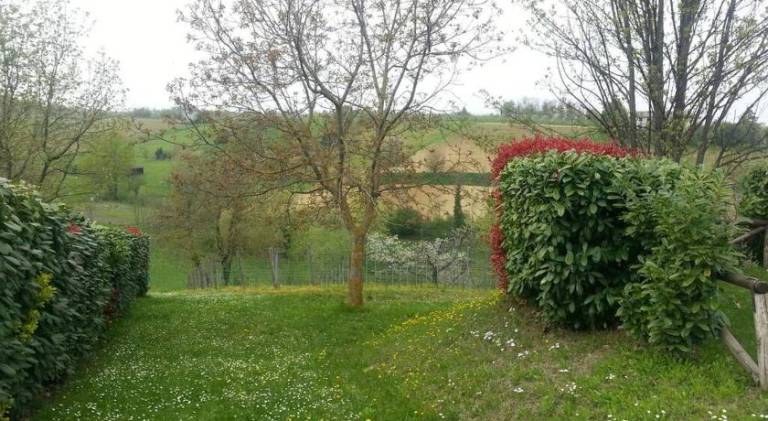 foto19