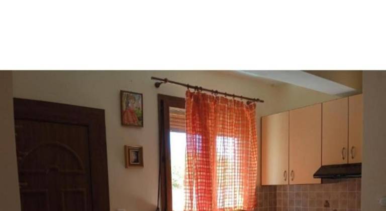 Apartment with patio & yard | Dogs allowed — photo 4