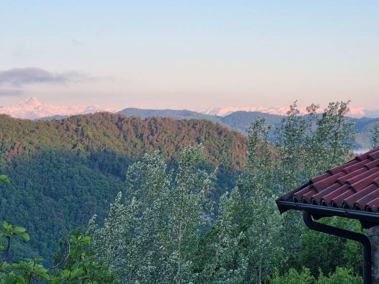 foto60