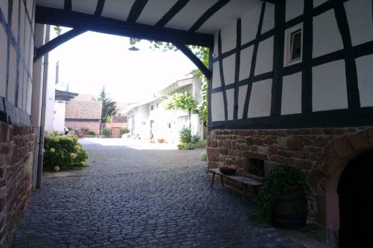 foto2