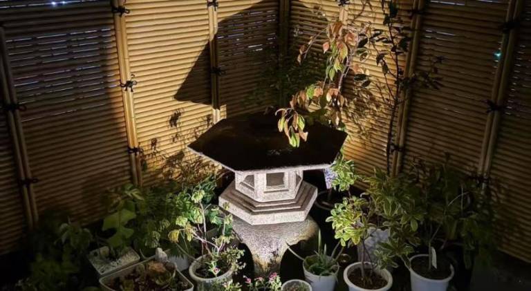 foto35