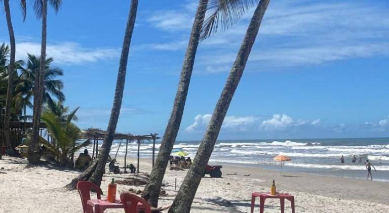 House with 1 room for 7 persons in Ilhéus