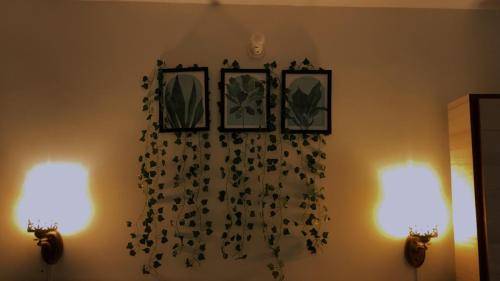 foto8