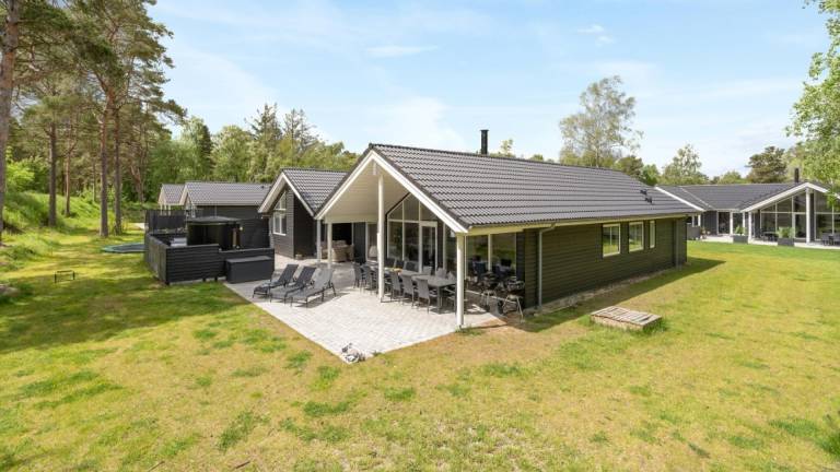 Ferienhaus mit Hund in Marielyst, Falster, D&auml;nemark