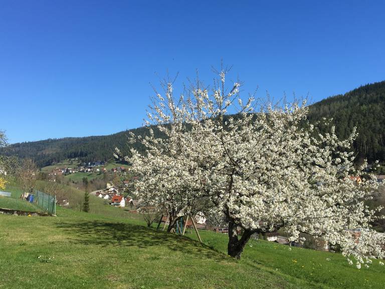 foto18