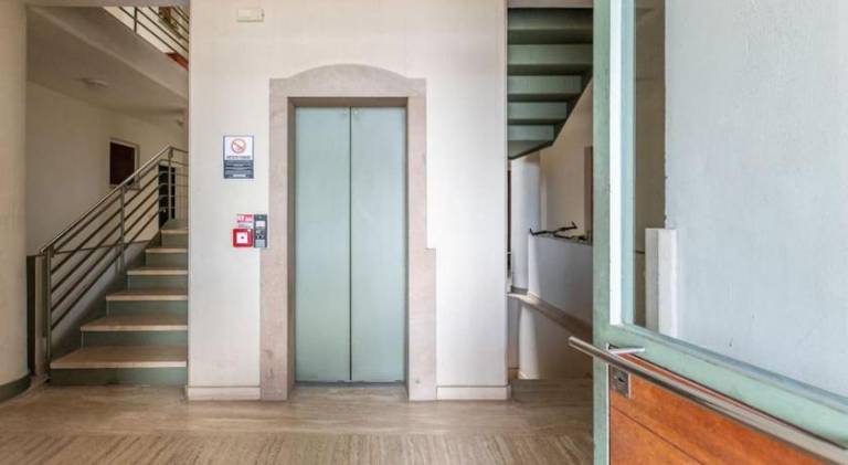 Nice holiday apartment | Pets are welcome — photo 3