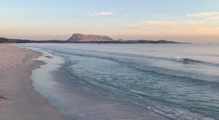 Wonderful rental apartment | Pets allowed in San Teodoro
