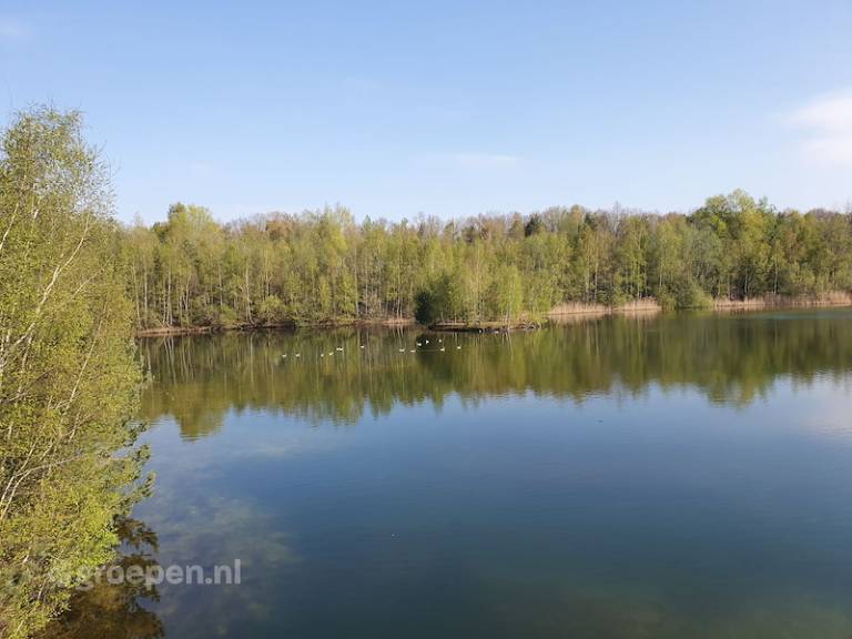 foto16