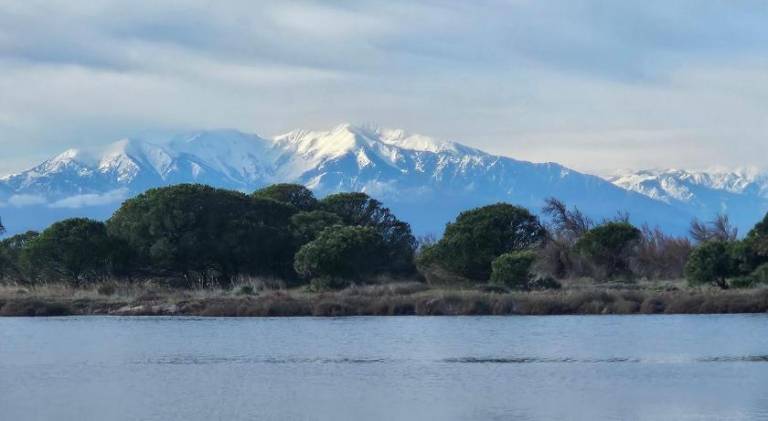 House | Pet-friendly in Leucate