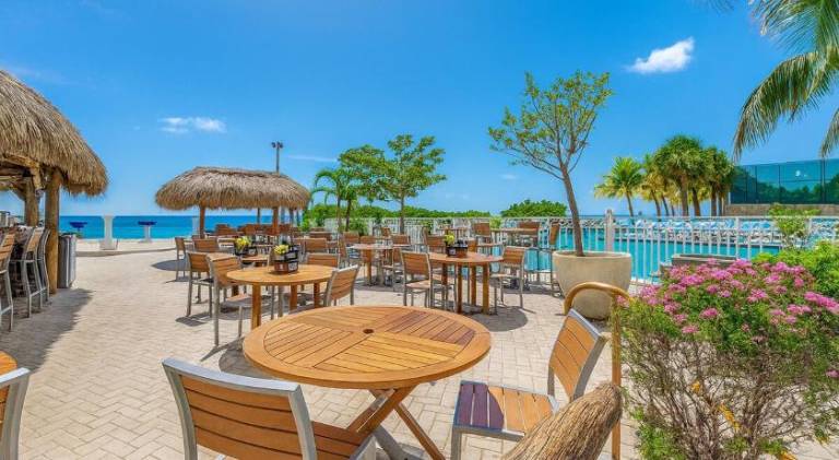 Relaxing Beach Escape - Oceanfront Pool and Tiki — photo 3