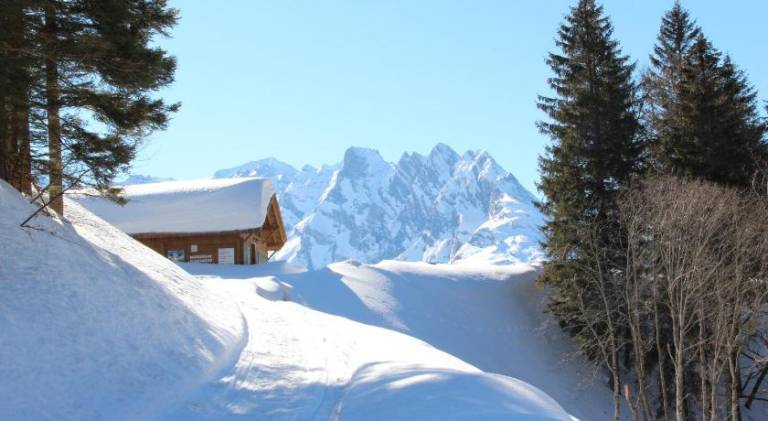 Hotel-Restaurant Alpina — photo 4