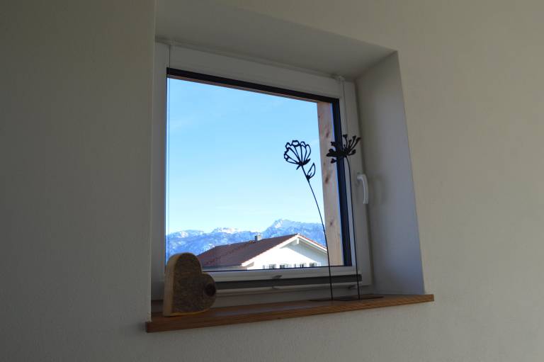 foto31