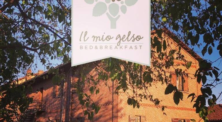Bed & Breakfast Il mio Gelso