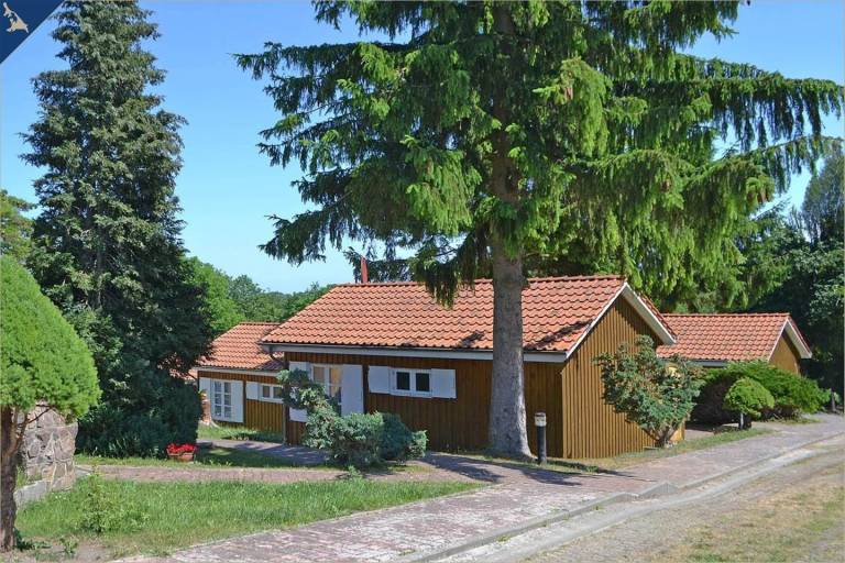 foto17