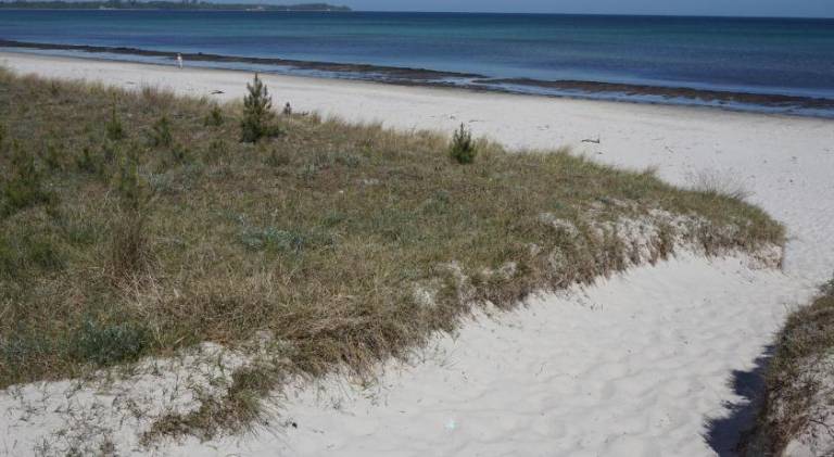 Souterraine-Findlinge — photo 4