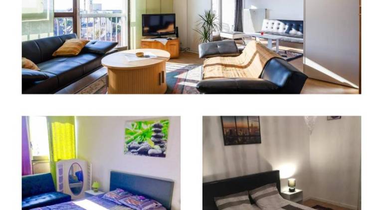 Rental apartment | Perfect for remote work | Pets allowed in Strasbourg