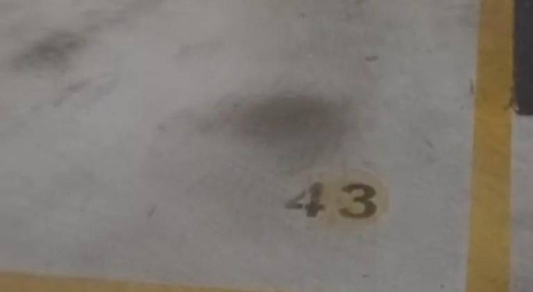 foto42