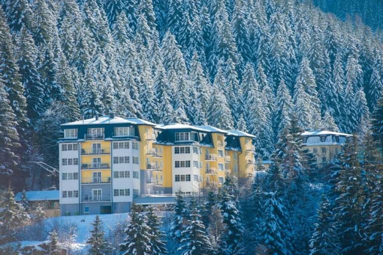 Ferienhaus mit Hund in Bad Gastein für max. 8 Personen Ferienhaus mit Hund in Bad Gastein für max. 8 Personen