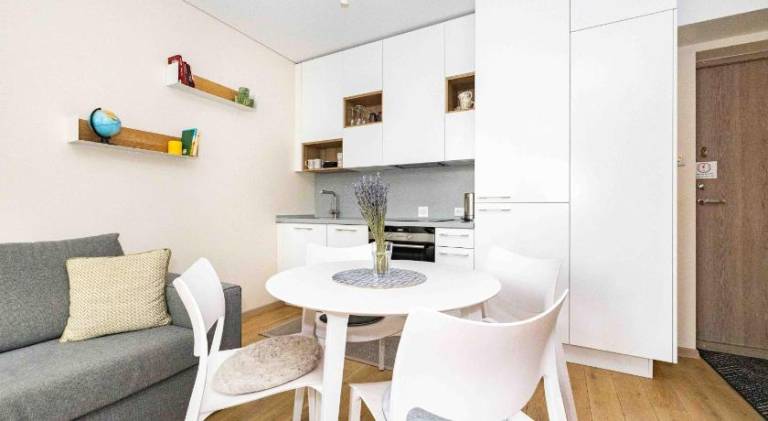 Apartment with 1 room for 4 persons in Palanga