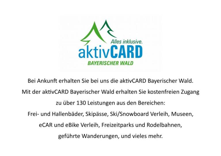 Appart-Hotel Wildererstuben (Bodenmais) — photo 3