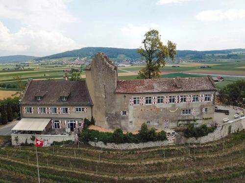 foto14