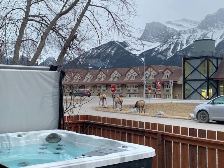 Condo Canmore