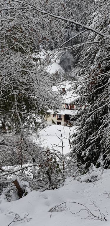 foto11