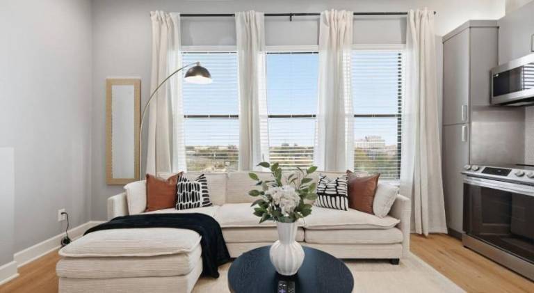Lovely apartment | Suitable for remote work | Pets are welcome in Dallas, TX