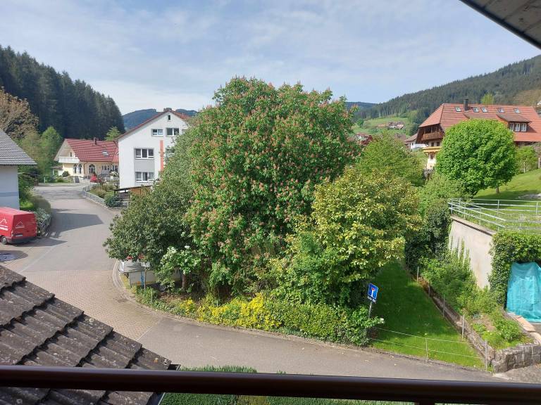 foto16