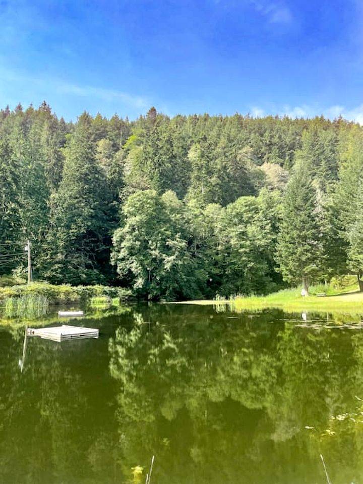 foto45