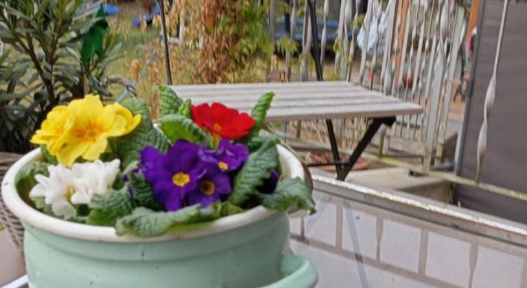 Holiday apartment | Pet-friendly — photo 4
