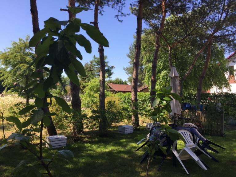 foto33