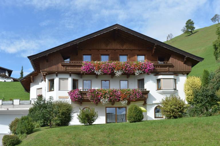 foto2
