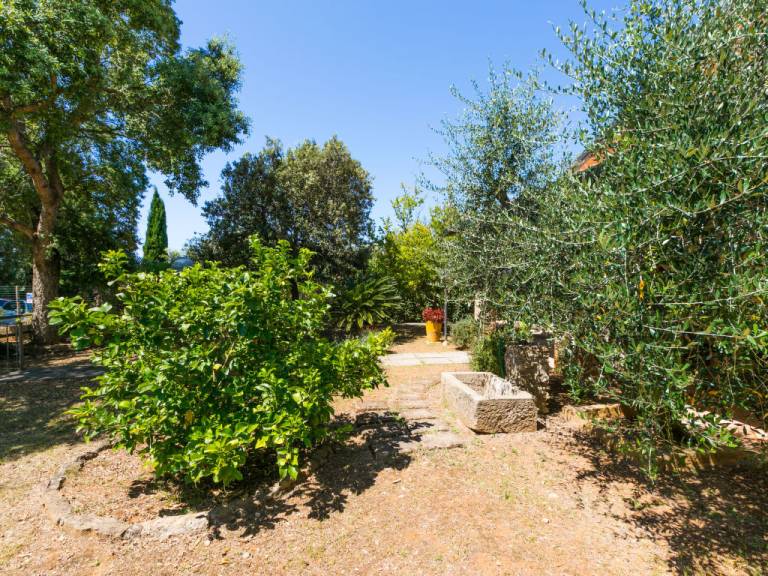 foto45