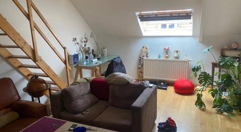 Apartment | Dogs allowed — photo 4