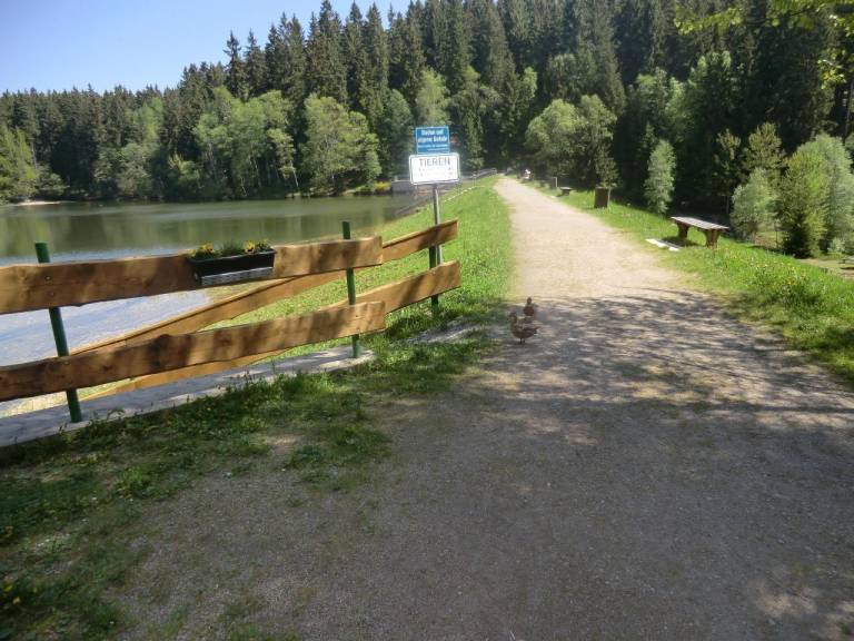 foto29