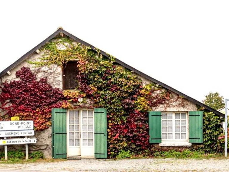 Cottage Fay-de-Bretagne