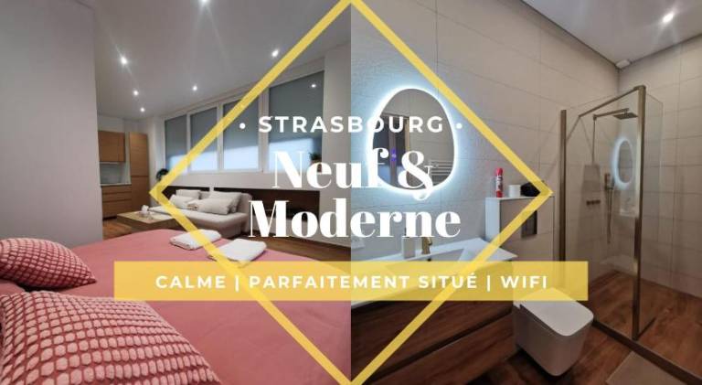 Nice holiday apartment | Pets are welcome in Illkirch-Graffenstaden