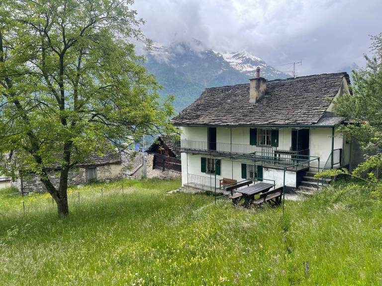 foto1